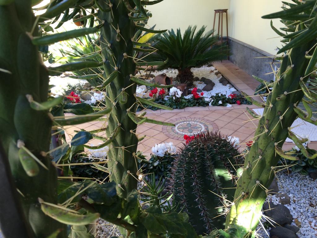 Sa Mariposa Bed and Breakfast Ittiri Εξωτερικό φωτογραφία