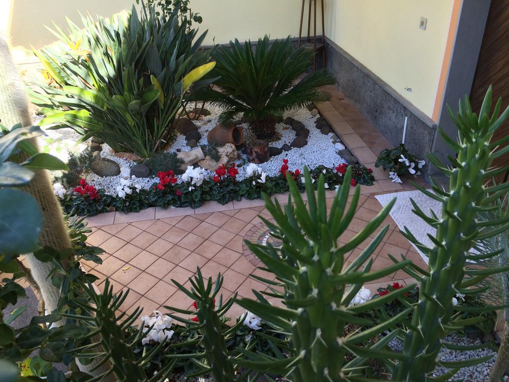 Sa Mariposa Bed and Breakfast Ittiri Εξωτερικό φωτογραφία