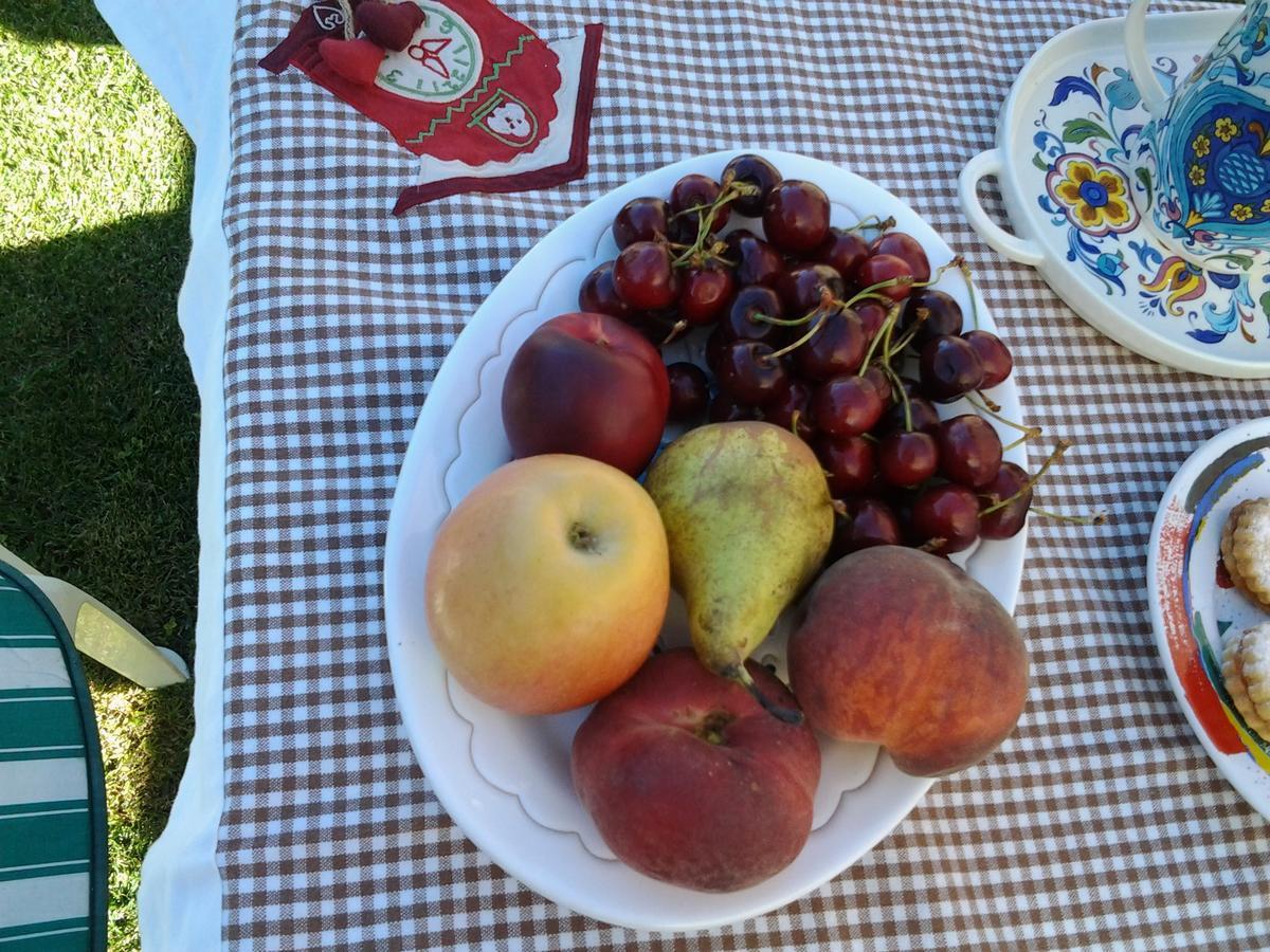 Sa Mariposa Bed and Breakfast Ittiri Εξωτερικό φωτογραφία
